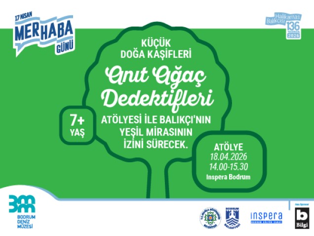 ANIT AĞAÇ DEDEKTİFLERİ